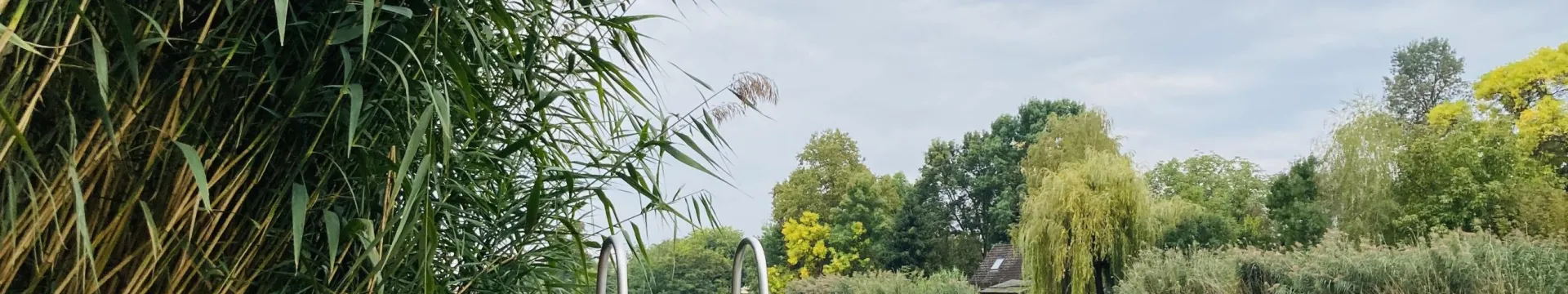 stég