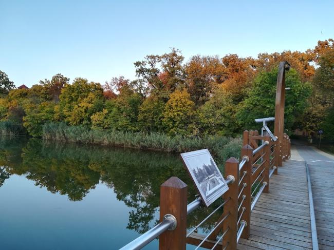 Erzsébet Ligeti Lombkorona Sétány és Kilátó