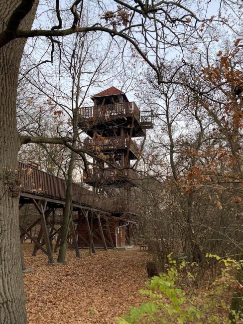 Erzsébet Ligeti Lombkorona Sétány és Kilátó